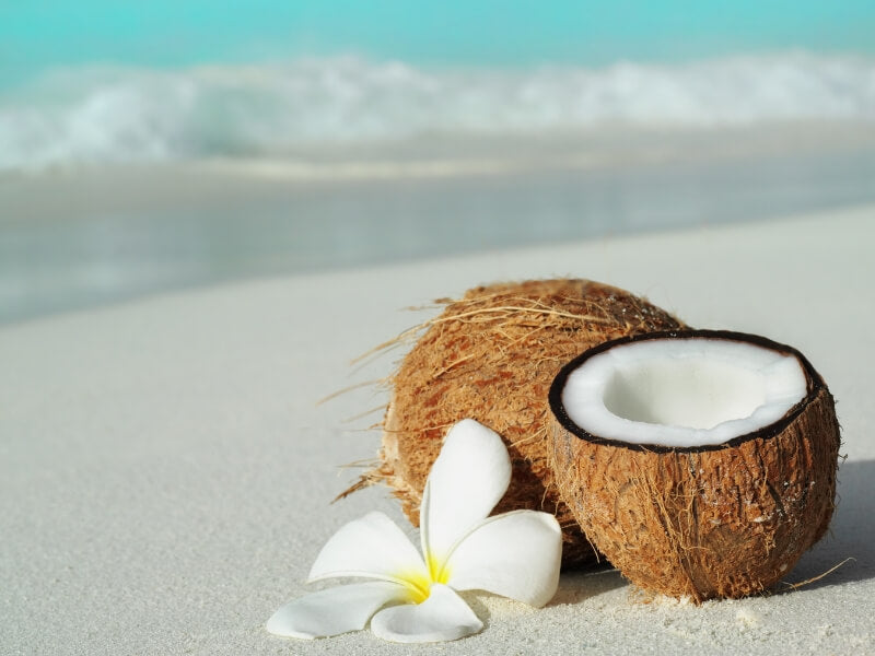 coconuts sitting on tropical beach with flower